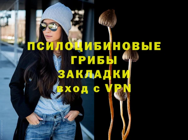 бошки Балахна