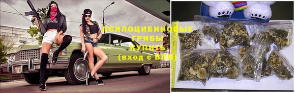 бошки Балахна