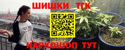 spice Мариинск