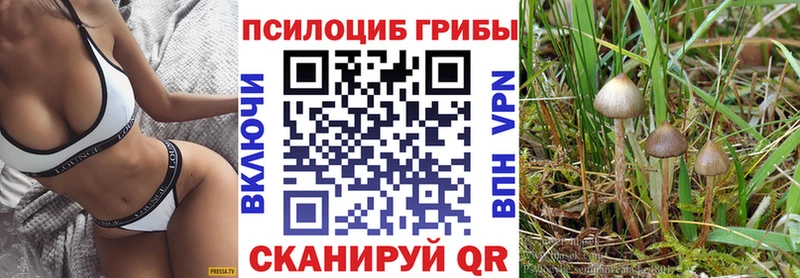 Псилоцибиновые грибы Psilocybine cubensis Кунгур