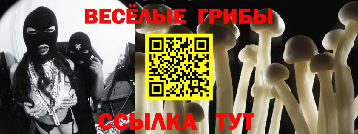 Псилоцибиновые грибы Cubensis  Вход с VPN  Кунгур 